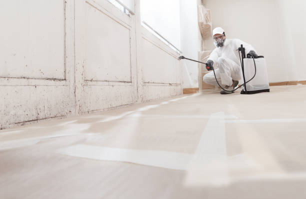 24/7 Emergency Black Mold Removal experts in Bennett, NC
