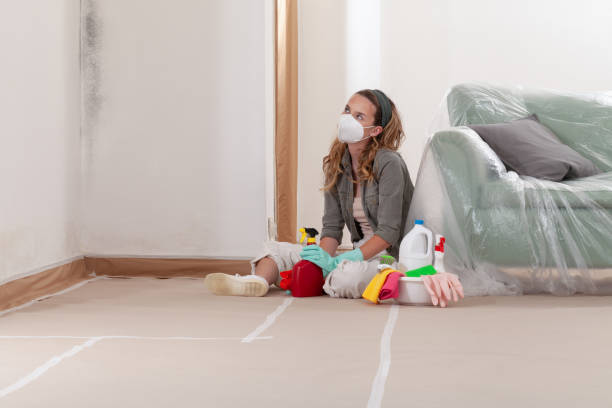 Reliable Black Mold Removal contractor in Bennett, NC by WQB Mold Removal
